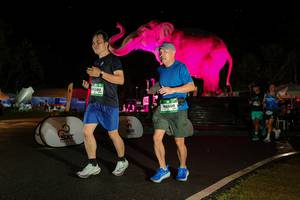 BIB: 
                            <button type="button" onclick="openModal(26542785)" class="btn btn-primary btn-sm float-right btn-popup" data-toggle="modal" data-target=".modal-high-quality">
                        <i class="fas fa-shopping-cart"></i> Add to Cart
                    </button>
                                            <button type="button" onclick="isThisMe(26542785, true)" class="btn btn-success btn-sm float-right btn-popup btn-isme hidden" data-toggle="tooltip" data-placement="bottom" title="นี่คือรูปของคุณใช่ไหม คลิกที่นี่เพื่อเอาเข้าอัลบั้ม">
                        <i class="fas fa-plus"></i> Add to album
                    </button>
                    <button type="button" onclick="isThisMe(26542785, false)" class="btn btn-warning btn-sm float-right btn-popup btn-isnotme hidden">
                        <i class="fas fa-ban"></i> Remove from album
                    </button>